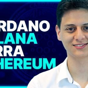 Qual é a MELHOR PLATAFORMA de CONTRATOS INTELIGENTES?