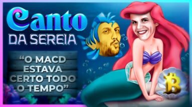 BITCOIN, POLKADOT E AVAX, NÃO CAIA NO CANTO DA SEREIA | CAFÉ BITCÃO #224