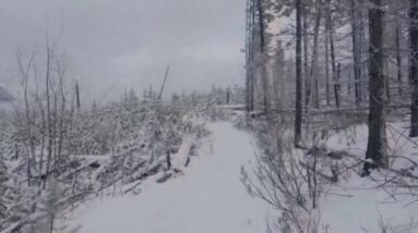 BITCOIN PODE CAIR MAIS 10%, MAS RELAXA, PASSOS DO MERCADO EUFÓRICO | CAFÉ BITCÃO #255