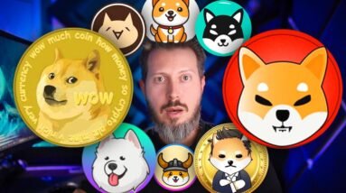 A Curiosa Realidade Das Moedas Meme