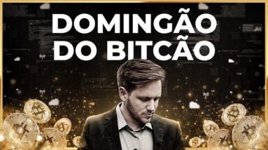 BITCOIN ALTA INFINITA E ESTUDO SEMANAL | DOMINGÃO DO BITCÃO #123