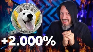 Crie Uma Moeda MEME Milionária Em 30 Segundos