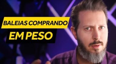 Baleias Comprando e Mercado Em Pânico – Chegamos No Fundo?