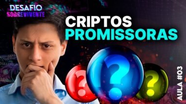 AS CRIPTOMOEDAS que podem VALORIZAR no FUTURO!