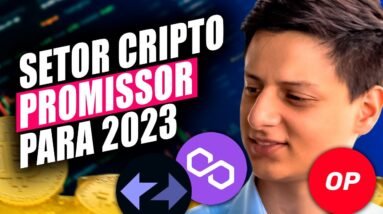 O PRÓXIMO MELHOR SETOR de CRIPTOMOEDAS?
