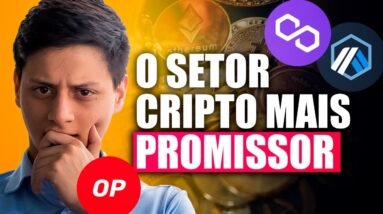 O SETOR CRIPTO de 2023! | Crypto Insights