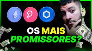 Os SETORES de maior OPORTUNIDADE no mercado CRIPTO!