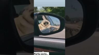 Bitcão Partiu Sexta… #shorts