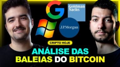 EMPRESAS BILIONÁRIAS se preparando para a ALTA? Futuro do mercado cripto | Cripto Hoje