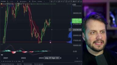 PORQUE BITCOIN ESTA CAINDO - O Fim das Altcoins Promissoras