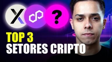 TOP 3 SETORES de CRIPTO para INVESTIR em 2024!