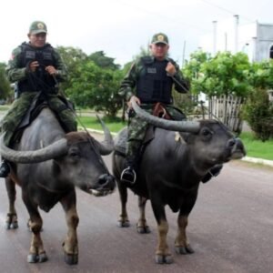 BULL MARKET DAS CRIPTOMOEDAS, A DEMANDA ESTA VOLTANDO
