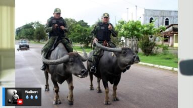 BULL MARKET DAS CRIPTOMOEDAS, A DEMANDA ESTA VOLTANDO