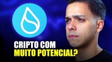 SUI | CRIPTO QUE PODE EXPLODIR EM 2024?