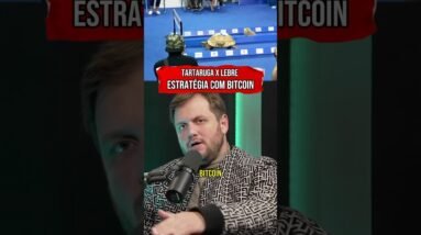 TARTARUGA X LEBRE: ESTRATÉGIA DA CARTEIRA DE BITCOIN