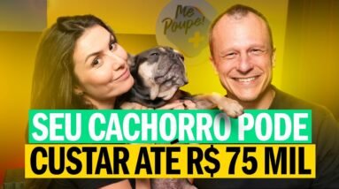 SEU PET TE DEIXA POBRE! Saiba Como Economizar Sem Deixar de Cuidar Bem | PodNath com Dr. Pet #89
