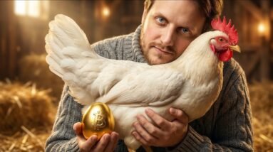 DAQUI A 12 MESES VOCÊ VAI CHORAR POR NÃO TER COMPRADO BITCOIN HOJE