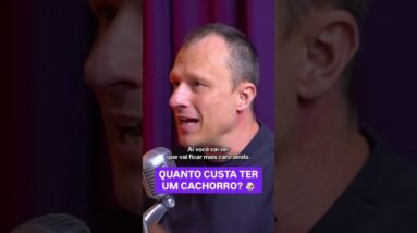Quanto custa ter um cachorro? O valor real surpreende #cachorro #pet