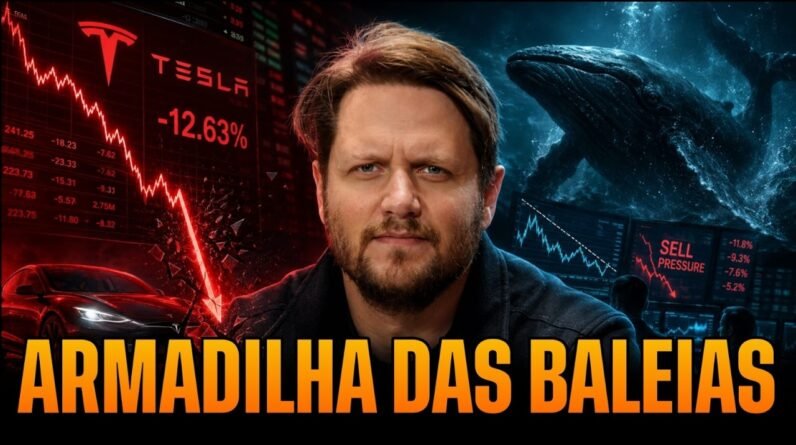 A QUEDA DA TESLA PODE SER UMA ARMADILHA DAS BALEIAS?