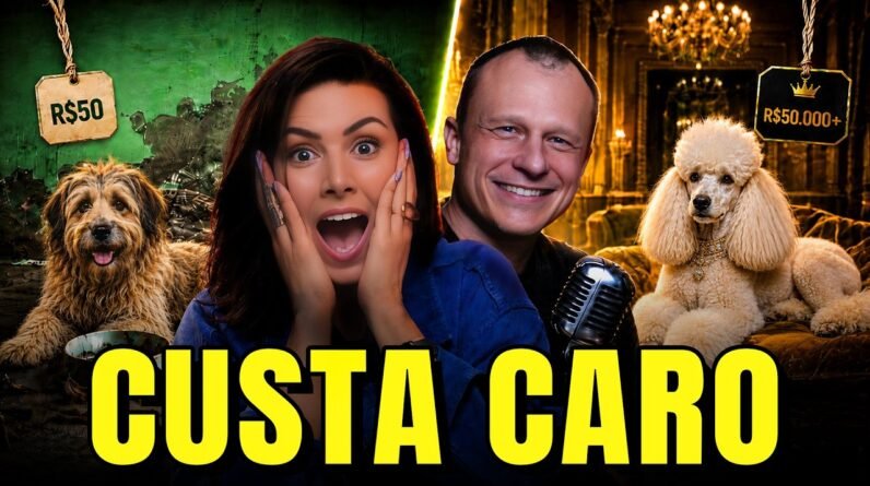 Ter pet custa caro? Dr. Pet revela como economizar sem prejudicar seu cachorro ou gato