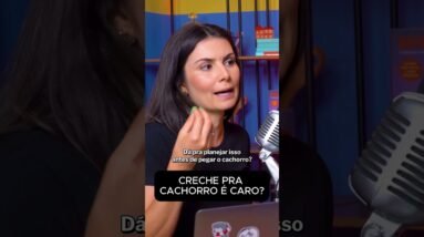 Creche de CACHORRO: O GASTO que NINGUÉM te conta antes de ter um pet!