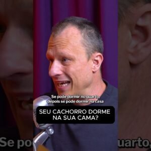 Seu pet está comendo seu dinheiro? A ligação entre carinho e gasto!