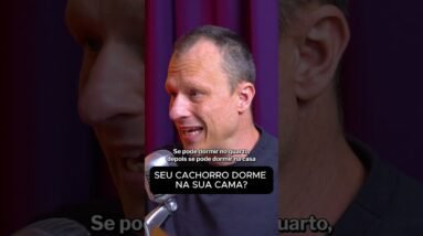Seu pet está comendo seu dinheiro? A ligação entre carinho e gasto!