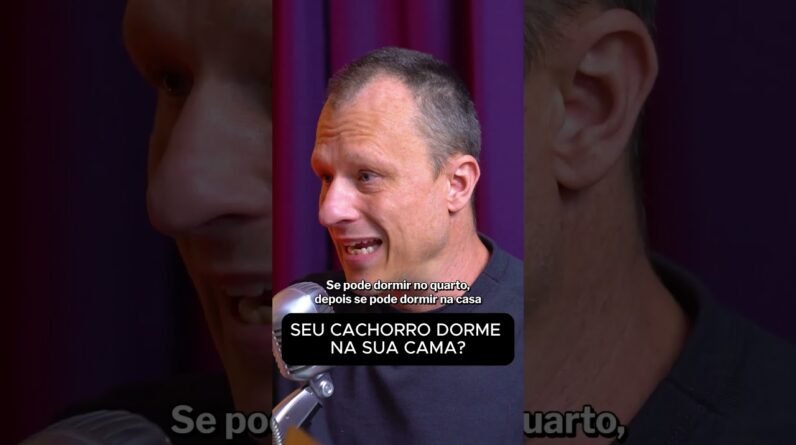 Seu pet está comendo seu dinheiro? A ligação entre carinho e gasto!
