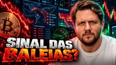 O QUE AS BALEIAS ESPERAM ANTES DA PRÓXIMA QUEDA?